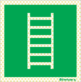 Emergency escape ladder