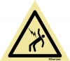 Electric Shock Hazard